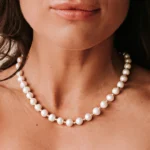 Untitled design (30)